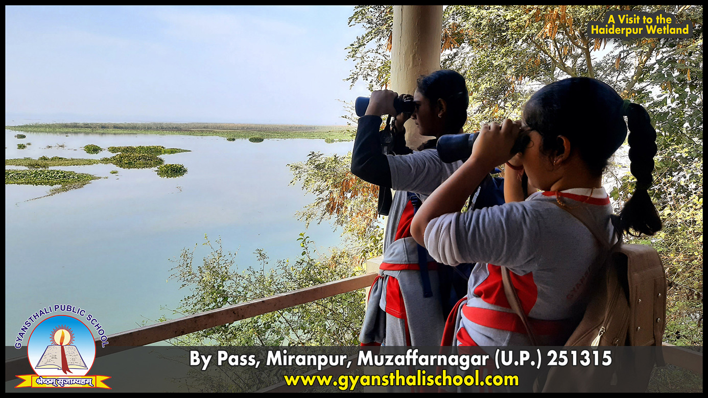 Haiderpur Wetland Tour