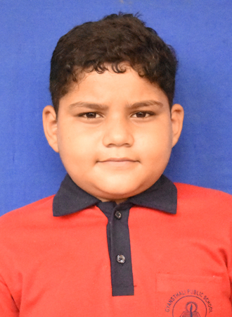 ALI HAMZA