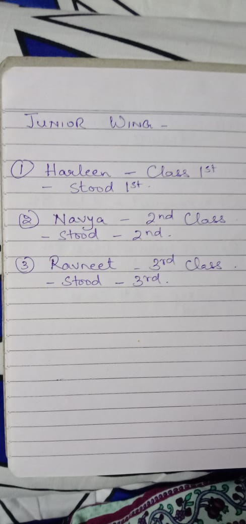 Independence Day Competition Result