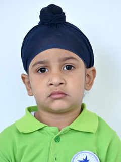 JAGVEER SINGH
