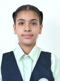 DAMANVEER
