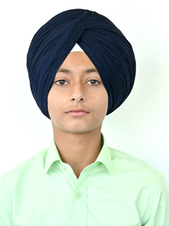 DILVEER
