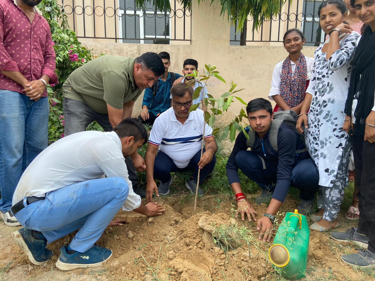 Tree Plantation