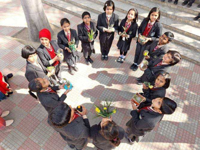 CCA -2025(FLOWERING AND GARDENING)