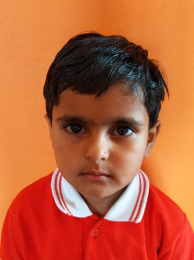 AVNI