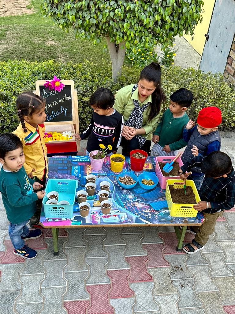 Seed Germination Activity