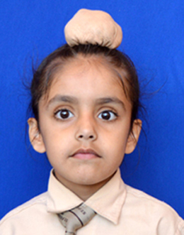 Gursehaj 
