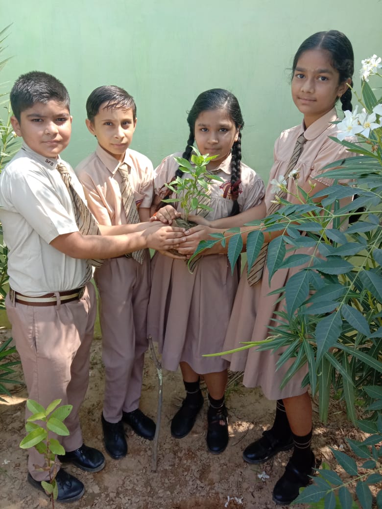 Tree Plantation 2021