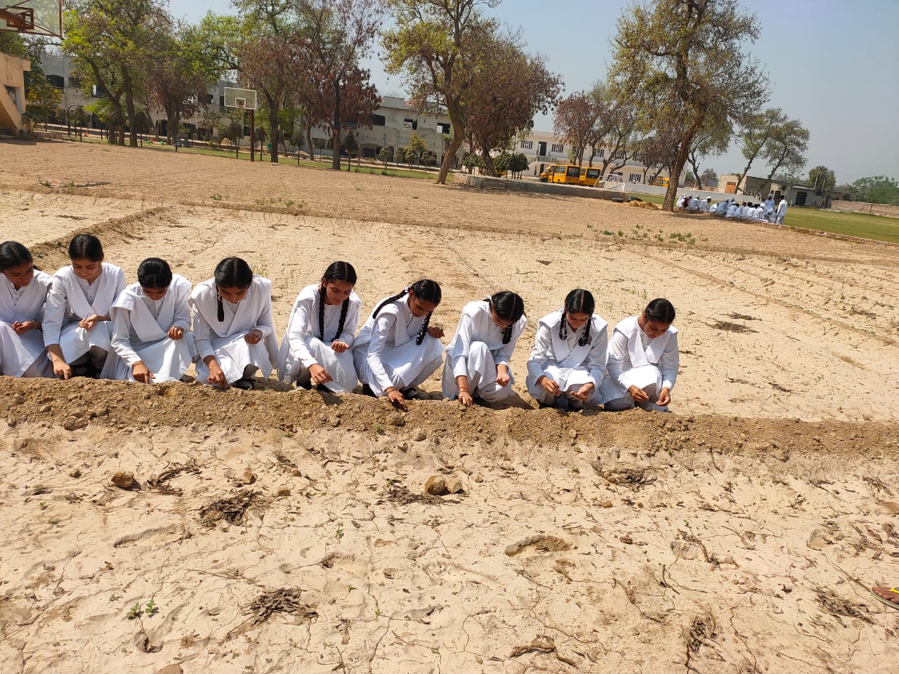 seeds sowing activity done by 10th class