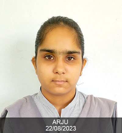 Arju