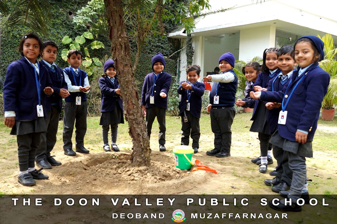 Seed Germination Activity