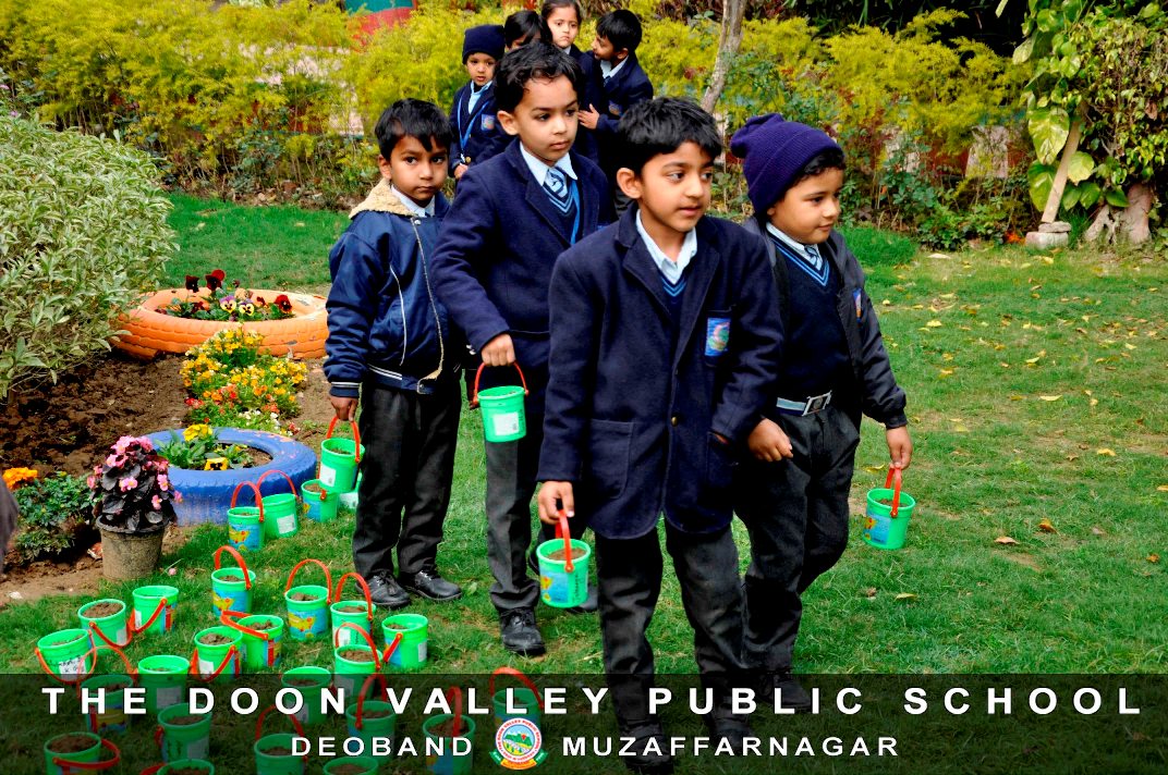 Germination of Seeds