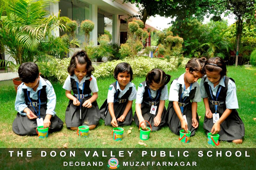 Germination of Seeds