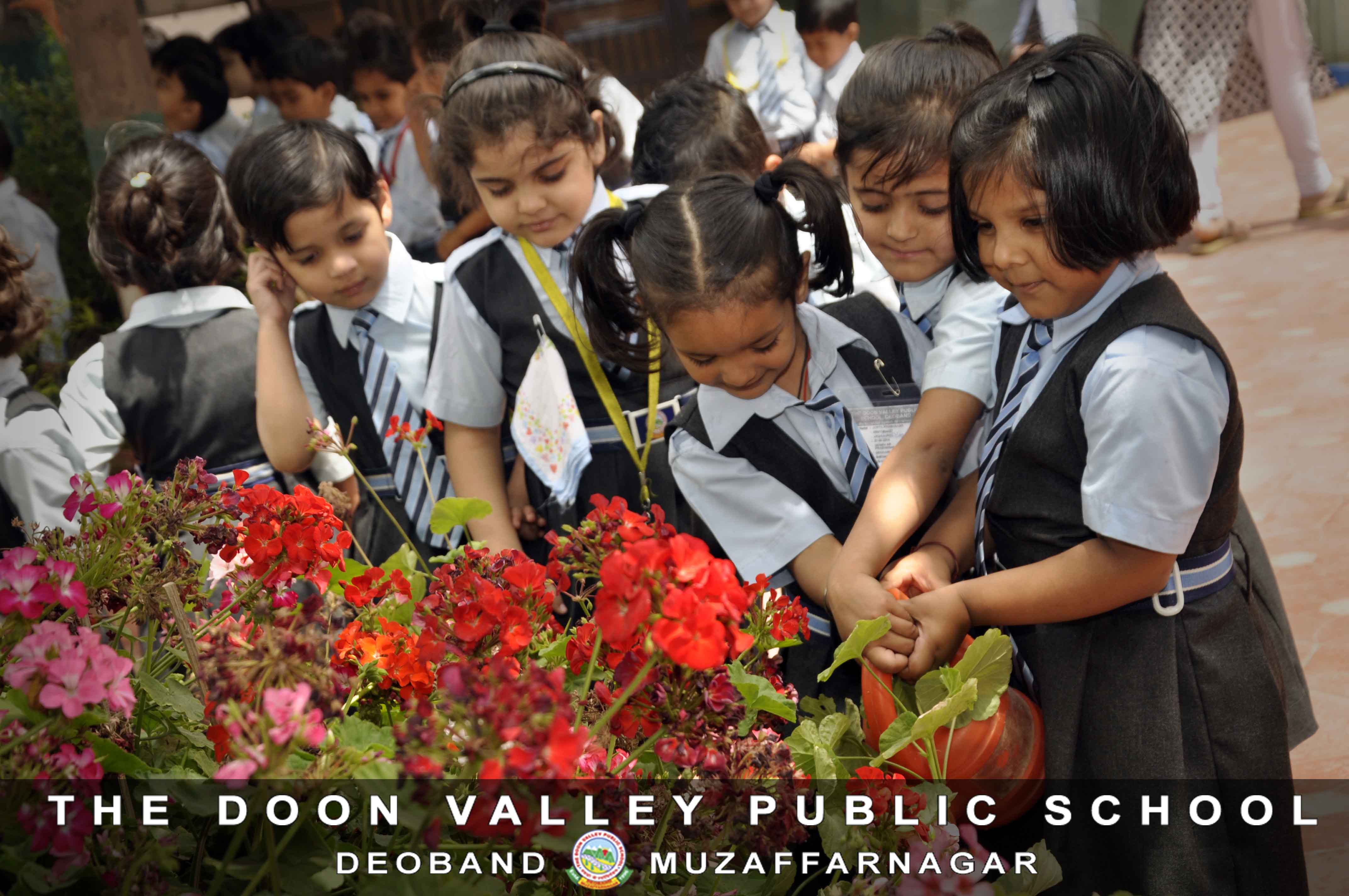 Earth Day Celebration - 2018