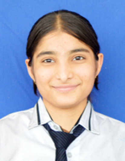 https://storage.googleapis.com/zmg-thewisdomsirsa/document/images/Kritika.jpeg