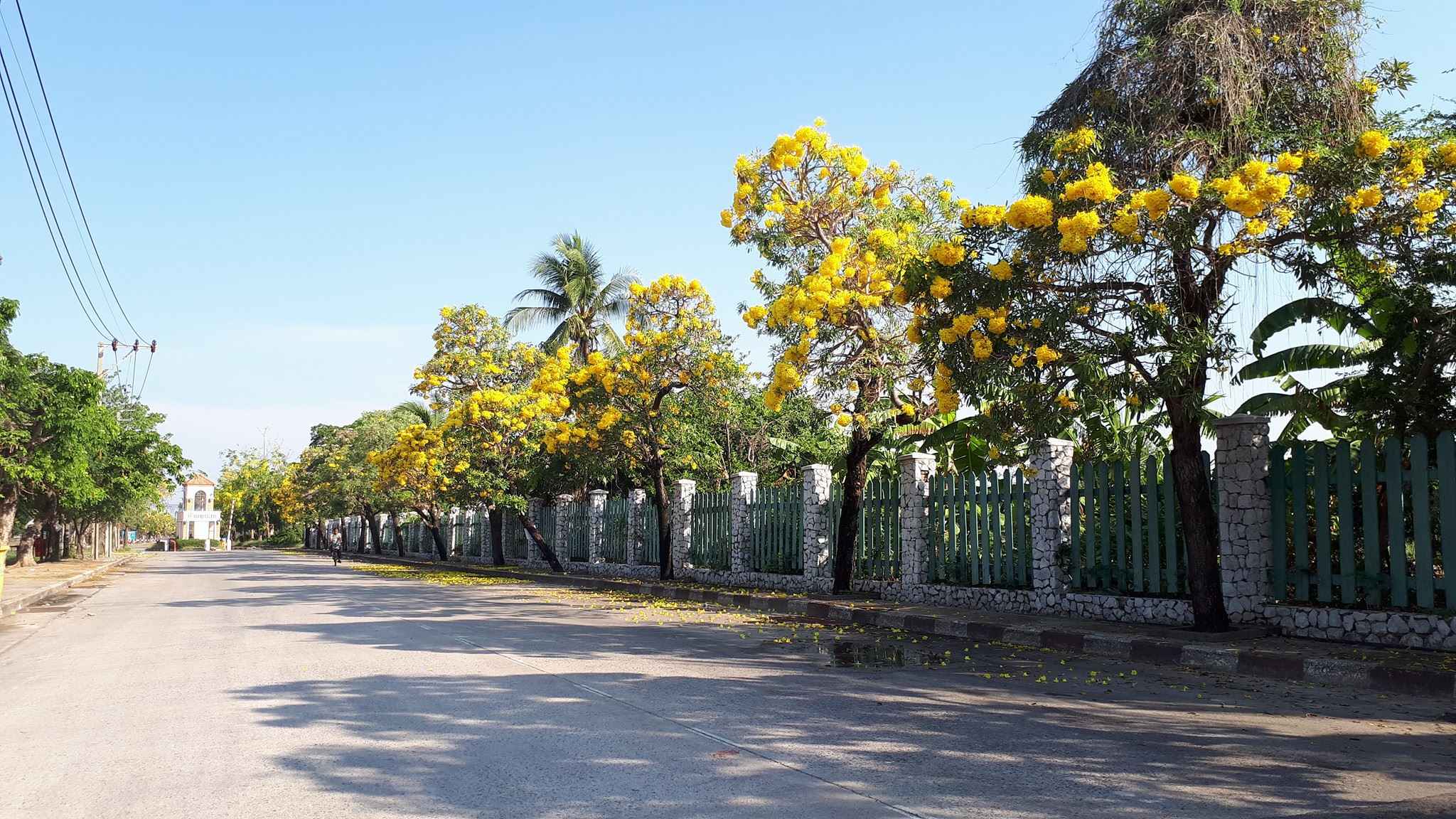 บ้านพูนสุข สุวรรณภูมิ (บางนา-สุวรรณภูมิ) Baan Poonsuk Suvarnabhumi