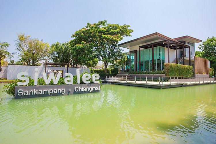 สีวลี สันกำแพง-เชียงใหม่ Siwalee Sankamphaeng-Chiang Mai