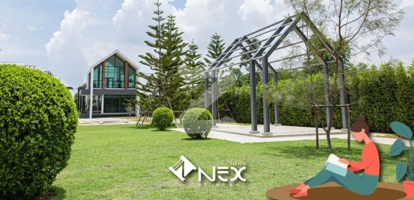 เอ็นทรีโอ เนกซ์ NTRIO Nex