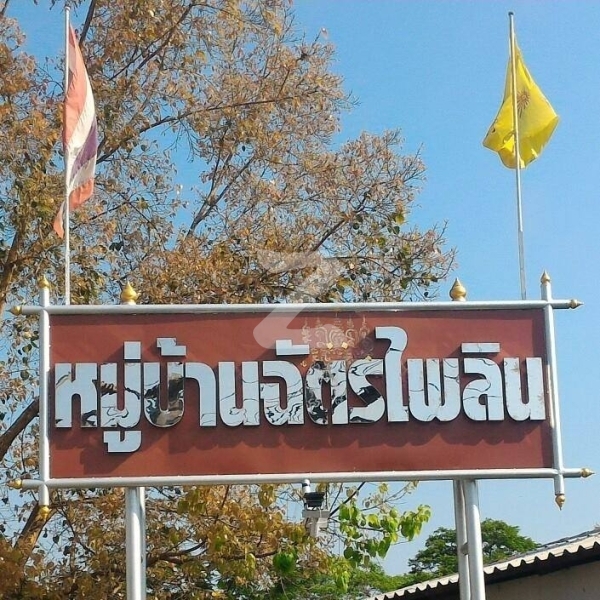 ฉัตรไพลิน ลาดหลุมแก้ว Chatrapailin Latlumkaew