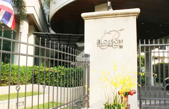 บลอสซั่มวิลล์ Blossom Ville