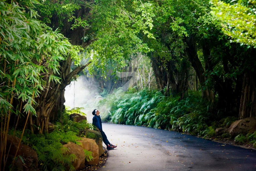 สวอนเลค เขาใหญ่ Swan Lake Khao Yai