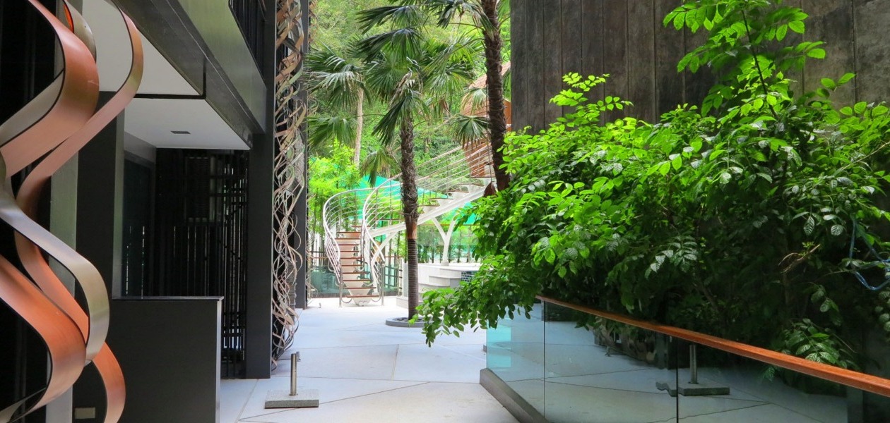 ดิ เอ็มเมอร์รัล เทอเรซ คอนโด ป่าตอง The Emerald Terrace Condo Patong