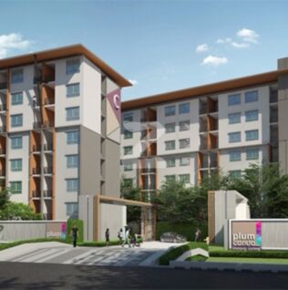 พลัมคอนโด บางใหญ่ สเตชั่น เฟส 1 Plum Condo Bangyai Station Phase 1