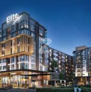 อีลิท ศาลายา Elite Salaya