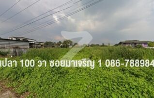 ขายที่ดินเปล่า เขตหนองแขม 100 ตร.วา 2 แปลง ซอยเพชรเกษม 81 (มาเจริญ 1) ใกล้ม.เอเชียอาคเนย์ : เจ้าของขายเอง (งดรับนายหน้า)