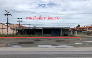 ทรัพย์ธนาคารโดย KASIKORNBANK ที่ดิน ถนนสุราษฏร์ธานี - หลังสวน (ทล.41) 