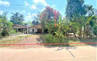 ทรัพย์ธนาคารโดย KASIKORNBANK บ้านเดี่ยว ถนนสายบ้านนาโหนด-บ้านคู