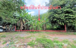 ทรัพย์ธนาคารโดย KASIKORNBANK ที่ดิน ถนนสร้างตนเอง 2