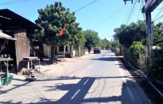 ทรัพย์ธนาคารโดย KASIKORNBANK บ้านเดี่ยว  ถนนสายบ้านกอกแก้ว - บ้านเด่นราษฎร์-บ้านหนองคูณ 