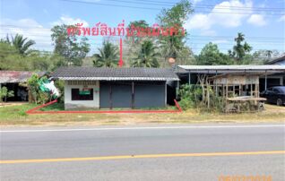 ทรัพย์ธนาคารโดย KASIKORNBANK บ้านเดี่ยว ถนนสายลำนาว - เคี่ยมงาม (ทล.4236) 