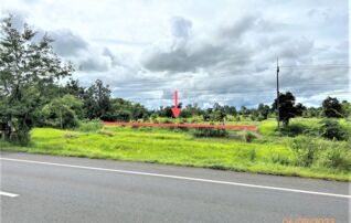 ทรัพย์ธนาคารโดย KASIKORNBANK ที่ดิน ถนนสายโชคชัย-เดชอุดม(ทล.24)