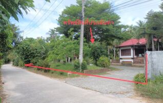 ทรัพย์ธนาคารโดย KASIKORNBANK บ้านเดี่ยว ถนนสายสระเกศ-ตลิ่งงาม-หัวถนน (ทล.4170)