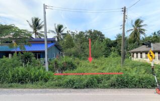 ทรัพย์ธนาคารโดย KASIKORNBANK ที่ดิน ถนนสายพรุพ้อ - ทุ่งนารี - เพชรเกษม 