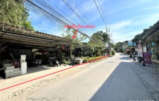 ทรัพย์ธนาคารโดย KASIKORNBANK บ้านเดี่ยว ซอยหน้าวัดพระลาน ถนนสายรอบเกาะสมุย (ทล.4169) 