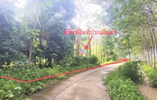 ทรัพย์ธนาคารโดย KASIKORNBANK บ้านเดี่ยว ซอยลุงโย ถนนบ้านควนสะตอ - บ้านทุ่งหลวง 