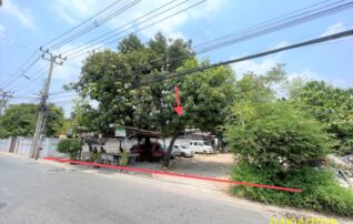 ทรัพย์ธนาคารโดย KASIKORNBANK ที่ดิน ซอยติวานนท์ 24 ถนนติวานนท์ 