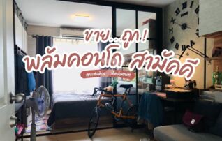 ขายคอนโดติด MRT ศูนย์ราชการนนทบุรี พลัมคอนโด สามัคคี (Plum Condo Samakkhi) : เจ้าของขายเอง (งดรับนายหน้า) 