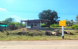 ทรัพย์ธนาคารโดย KASIKORNBANK บ้านเดี่ยว ถนนสายแยก ทล.12 - บ้านดงสมอ (พล.2002)