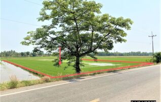 ทรัพย์ธนาคารโดย KASIKORNBANK ที่ดิน ถนนสายบ้านไผ่ขอน้ำ - บ้านดงสมอ (พล.2002)