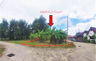 ทรัพย์ธนาคารโดย KASIKORNBANK ที่ดิน ถนนสายเชียงราย - เวียงชัย(ทล.1233)