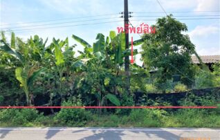 ทรัพย์ธนาคารโดย KASIKORNBANK บ้านเดี่ยว  ถนนสายบ้านท่าโพธิ์ - บ้านพอด (ทล.4004) 