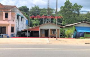 ทรัพย์ธนาคารโดย KASIKORNBANK บ้านเดี่ยว ถนนสายสุราษฎร์ธานี - ทุ่งสง (ทล.41)