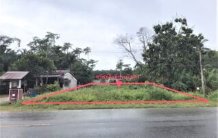 ทรัพย์ธนาคารโดย KASIKORNBANK ที่ดิน ถนนสายพิปูน-ห้วยปริก(ทล.4224) 