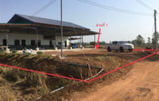 ทรัพย์ธนาคารโดย KASIKORNBANK บ้านเดี่ยว ถนนสายบ้านดอนเชียงบาล-นาหว้า (ทล.2346)