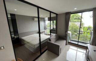 ให้เช่าคอนโดติด BTS อ่อนนุช ทรี คอนโด สุขุมวิท 50 (Tree Condo Sukhumvit 50)