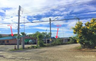 ทรัพย์ธนาคารโดย KASIKORNBANK บ้านเดี่ยว ถนนสายทุ่งเจริญทอง 3